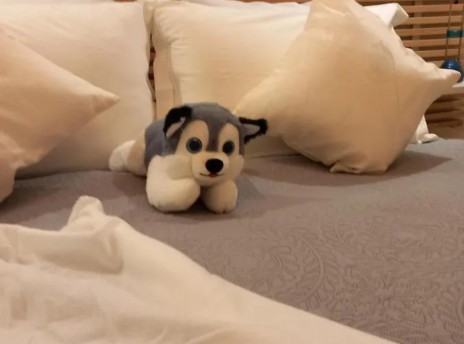 Appartamentino - Castle View, No Stairs